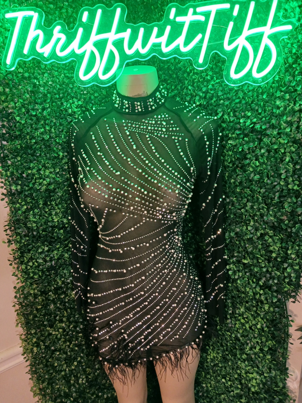 Black Embellished Mesh Bodycon Dress with Feather Hem